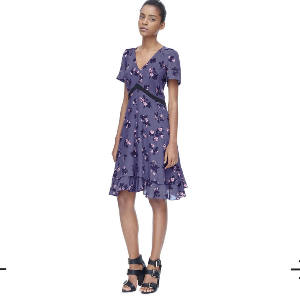 Rebecca Taylor 100% Silk Alyssum Print Fit & Flare Dress Size 4